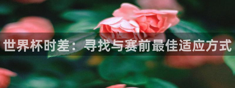 世界杯直播：世界杯时差：寻找与赛前最佳适应方式