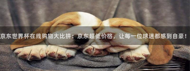 世界杯决赛圈球队：京东世界杯在线购物大比拼：京东超低价格，让每一位球迷都感到自豪！