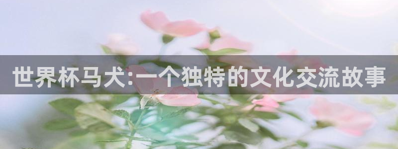 2026 世界杯：世界杯马犬:一个独特的文化交流故事