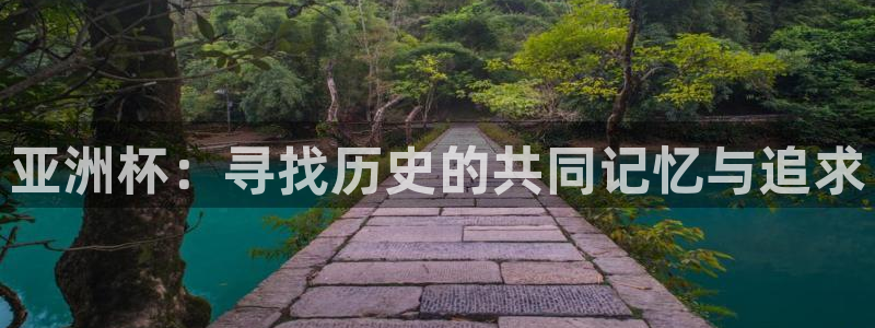 世界杯直播：亚洲杯：寻找历史的共同记忆与追求