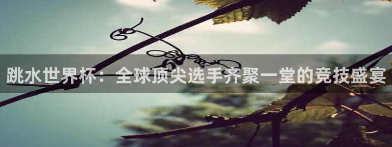 世界杯决赛圈球队：跳水世界杯：全球顶尖选手齐聚一堂的竞技盛宴