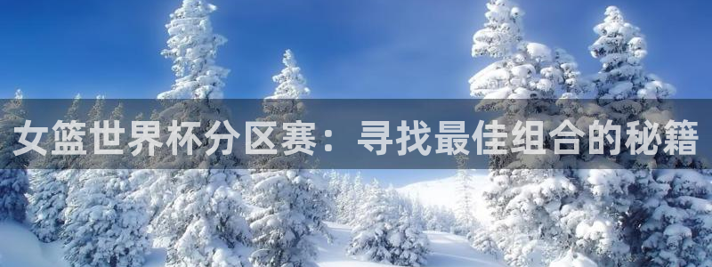 世界杯欧洲区赛程：女篮世界杯分区赛：寻找最佳组合的秘籍