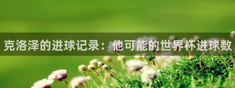 2026世界杯欧洲预选赛赛程表：克洛泽的进球记录：他可能的世界杯进球数