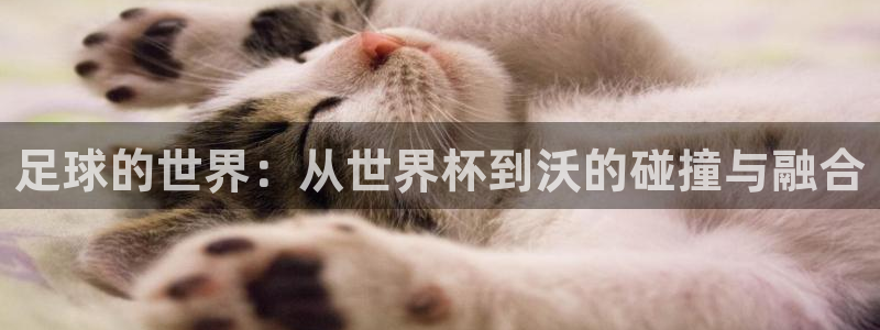 世界杯预选赛欧洲：足球的世界：从世界杯到沃的碰撞与融合