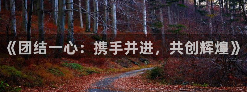 2026世界杯直播：《团结一心：携手并进，共创辉煌》
