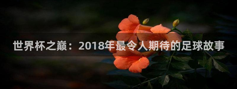 世界杯官网：世界杯之巅：2018年最令人期待的足球故事