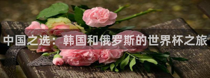 足球世界杯2026年赛程时间表：中国之选：韩国和俄罗斯的世界杯之旅