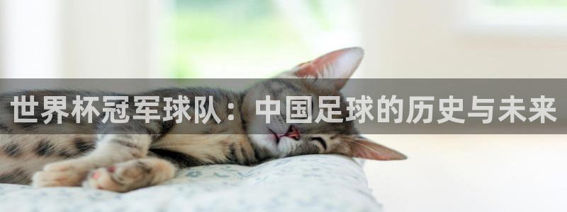 2026世界杯赛程表完整版：世界杯冠军球队：中国足球的历史与未来