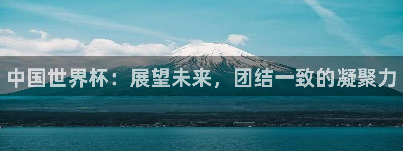 美洲杯直播：中国世界杯：展望未来，团结一致的凝聚力