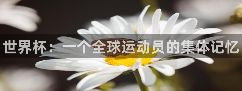 世界杯欧洲区预选赛：世界杯：一个全球运动员的集体记忆